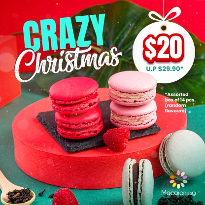 Macarons.sg Crazy Christmas Offer