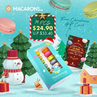 Macarons.sg Xmas 14pcs gift set