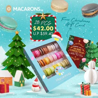 Macarons.sg Xmas 28pcs gift set