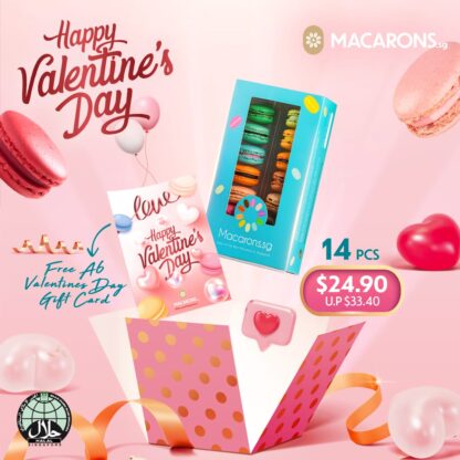 Macarons.sg 14pcs V day set